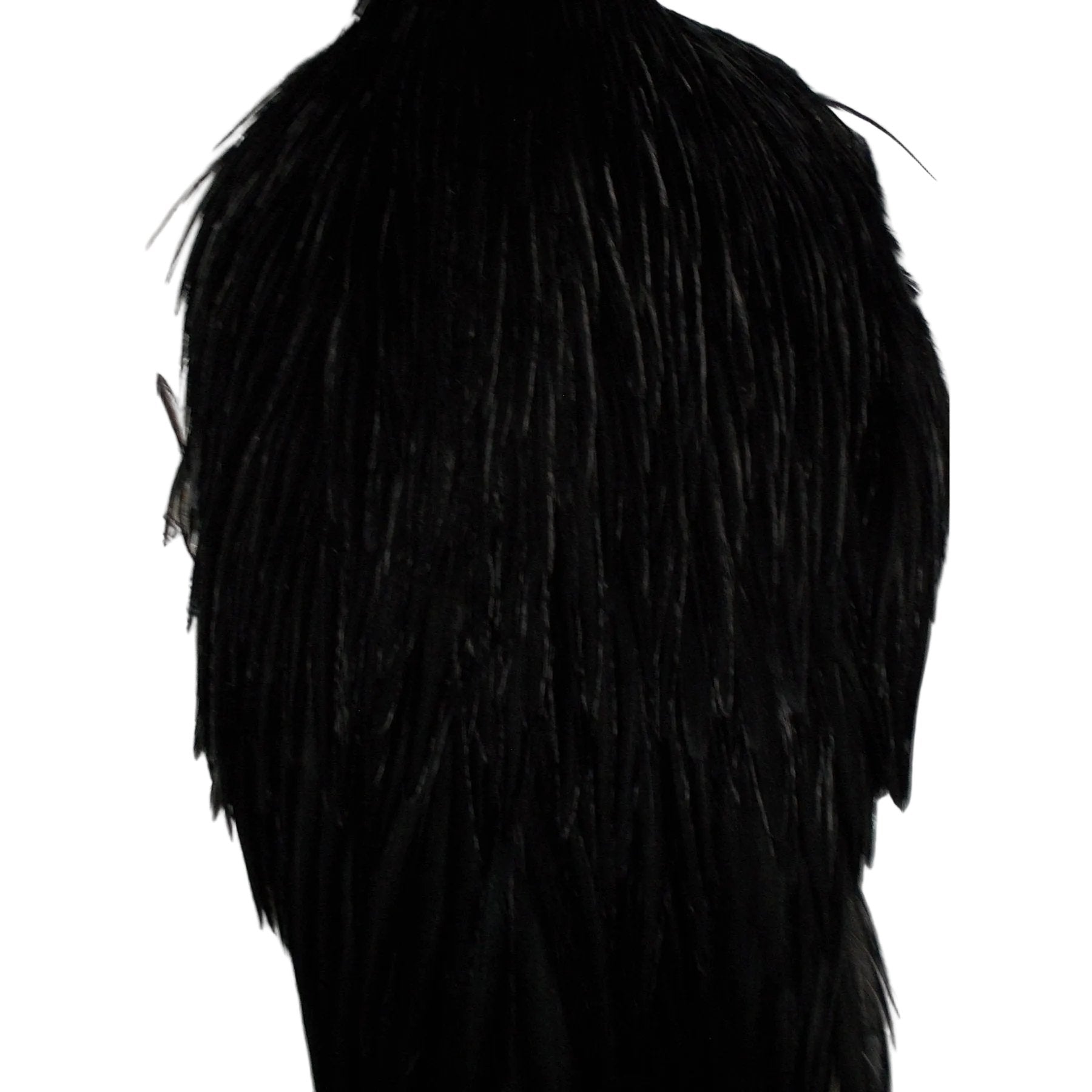 Whiting Hen Hackle Cape Black Australia 