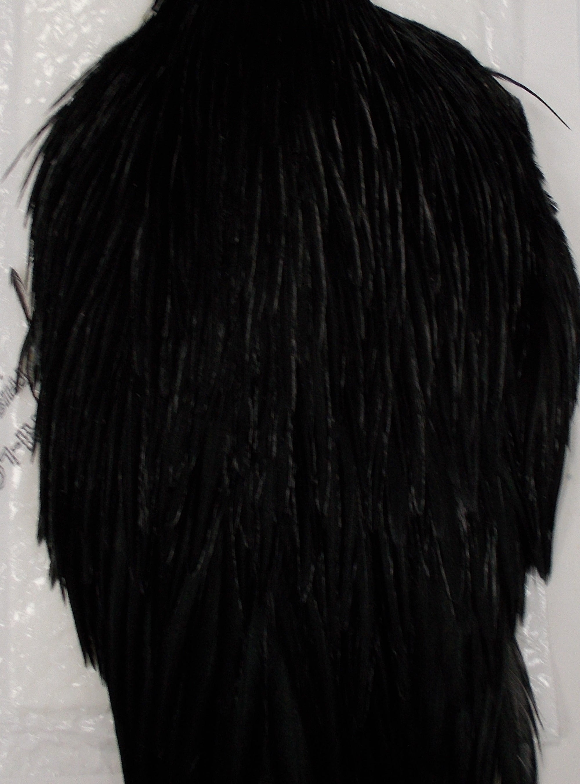 Whiting Hen Hackle Cape Black Australia 