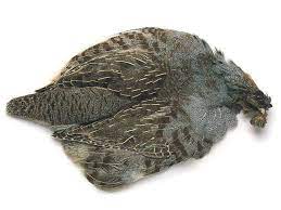 English Partridge Complete Skin- Veniard Australia NZ