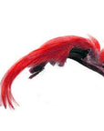 Golden Pheasant Topping Crest Veniard