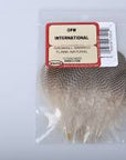 Gadwell_feathers_nat. Australia NZ