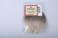 Gadwall Barred Flank Feathers - Wapsi