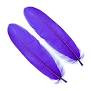 Goose Shoulder Feathers - Wapsi Australia 