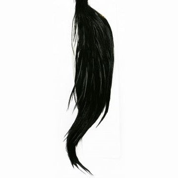 Whiting Half Rooster Cape Australia