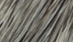 Whiting Herbert Miner Pro Grade Hackle Cape Unique Variant