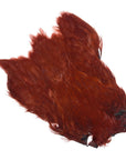 Hen Neck - Wapsi Australia 
