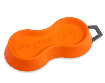 Magnet-ique Mag Mini