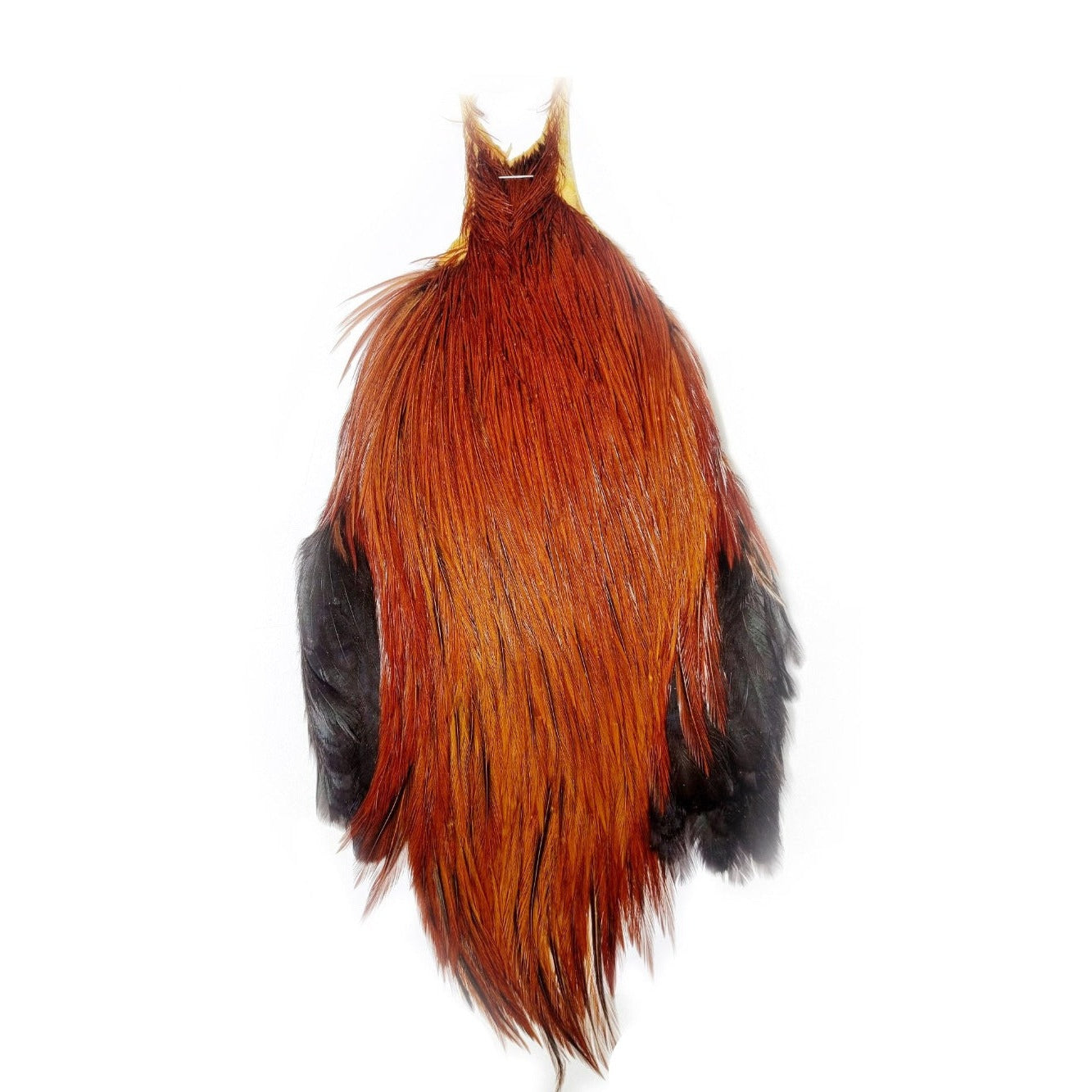 Metz Premium Neck Hackle grade 