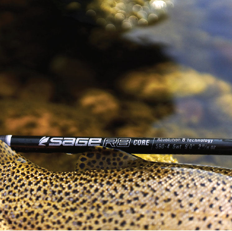 Sage R8 Fly rod – essential Flyfisher