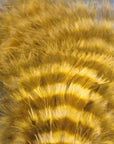 Marabou Barred - Veniard