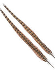 Ringneck tail twin pack - Wapsi