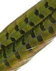 Ringneck tail twin pack - Wapsi