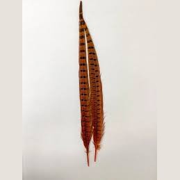 Ringneck tail twin pack - Wapsi