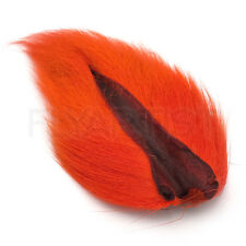 Bucktail Orange Australia