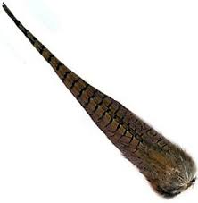 Ringneck Cock Tail Clump- Wapsi Australia
