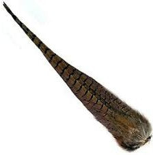 Ringneck Cock Tail Clump- Wapsi Australia