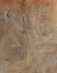 Marc Petitjean CDC Feathers 1 Gram Australia cream