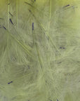 Petitjean CDC Feathers 1 Gram