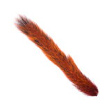 Squirrel Tail - Wapsi