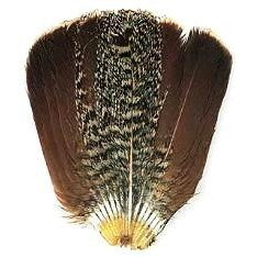 English Partridge Complete Tail - Veniard Australia