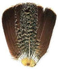 English Partridge Complete Tail - Veniard Australia