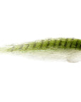 Salty Barred Baitfish Anchovy, Essential Flyfisher, Tasmania, Australia