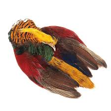 Golden Pheasant Whole Skin - Wapsi Australia