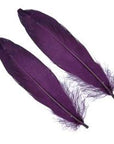 Goose Shoulder Feathers - Wapsi Australia 