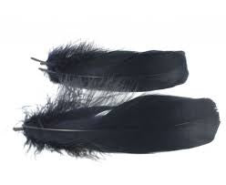 Goose Shoulder Feathers - Wapsi Australia 