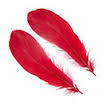 Goose Shoulder Feathers - Wapsi Australia 