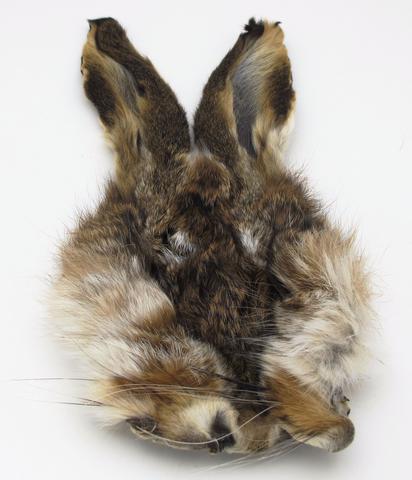 Hares Mask - Wapsi Australia