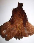 Hen Neck - Wapsi Australia 