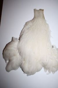 Hen Neck - Wapsi Australia 