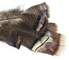 Ozark Iridescent Turkey Tail - Wapsi Australia