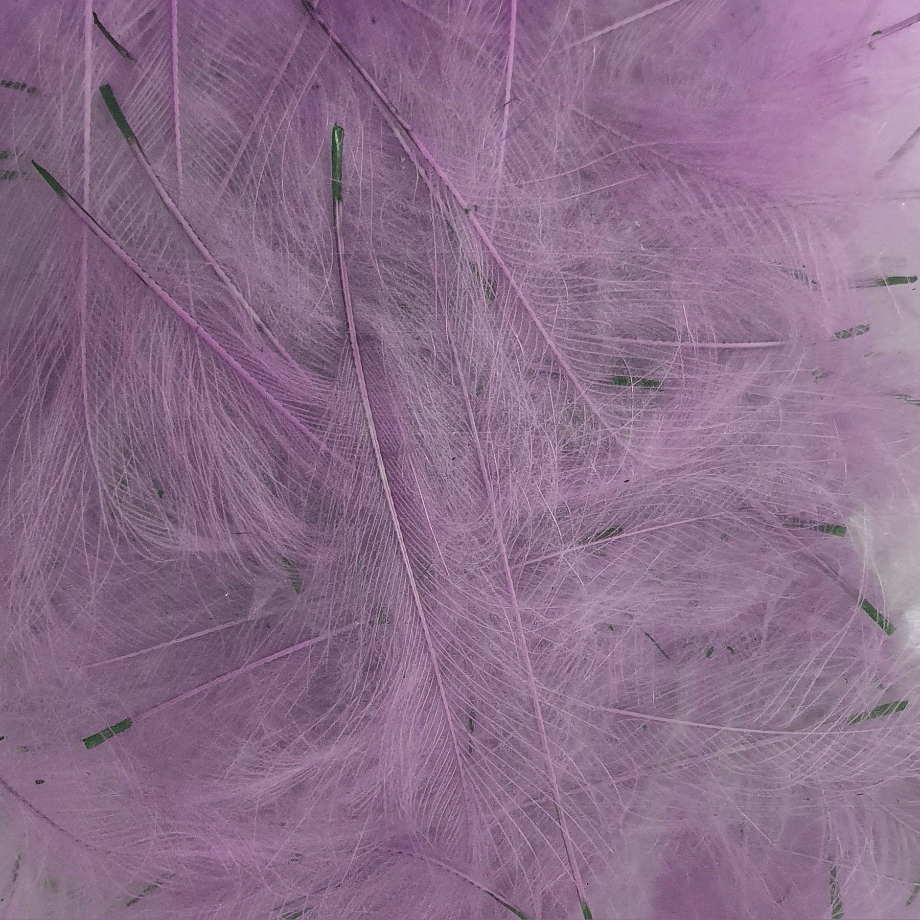 Marc Petitjean CDC Feathers 1 Gram Australia light mallow