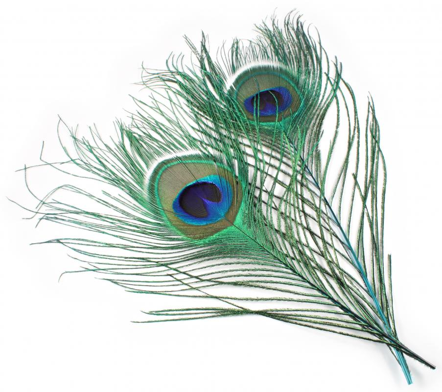 Peacock Eye Tops - Veniard