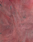 Petitjean CDC Feathers 1 Gram