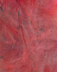Petitjean CDC Feathers 1 Gram