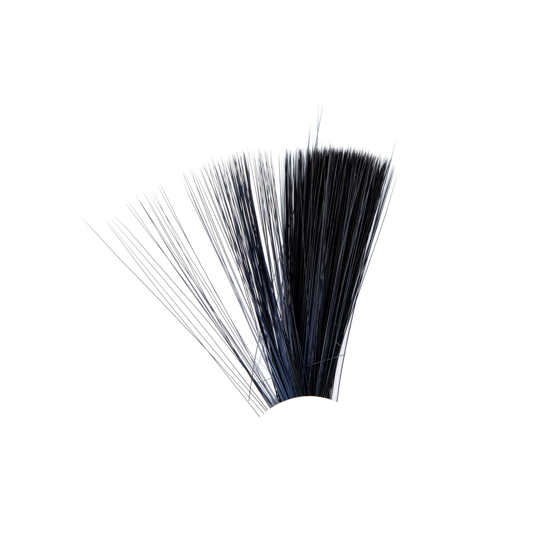 Tail Fibre Fibbets - Veniard