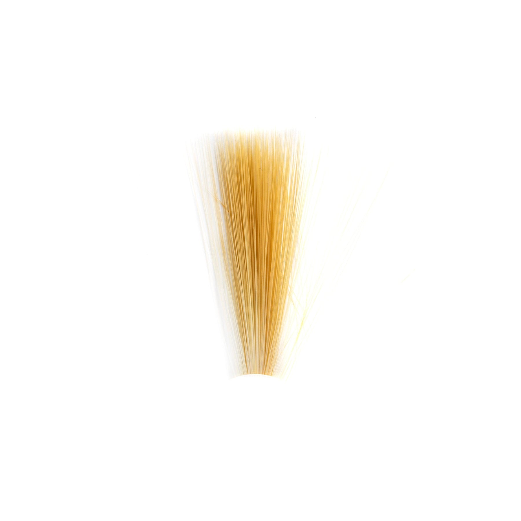 Tail Fibre Fibbets - Veniard