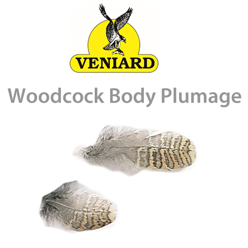 Woodcock Body Plumage - Veniard Australia