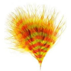 Barred Marabou - Veniard Australia