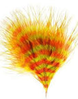 Barred Marabou - Veniard Australia